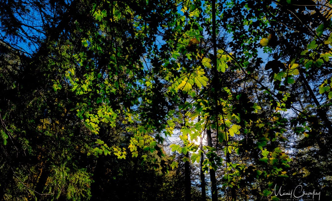 © 2017 Couleurs &amp; Photographie