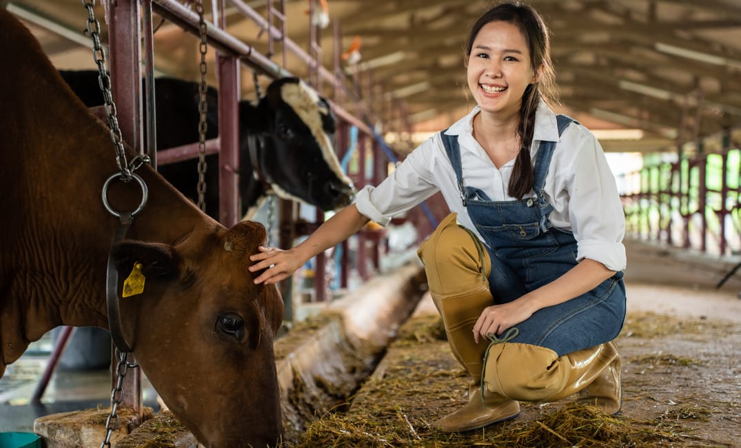 Intégrez vos passions dans votre enseignement