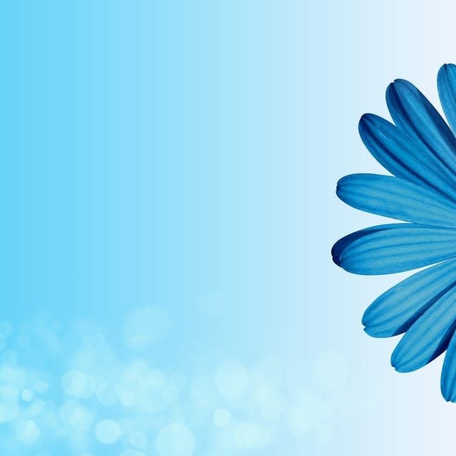 Image de : Bienvenue