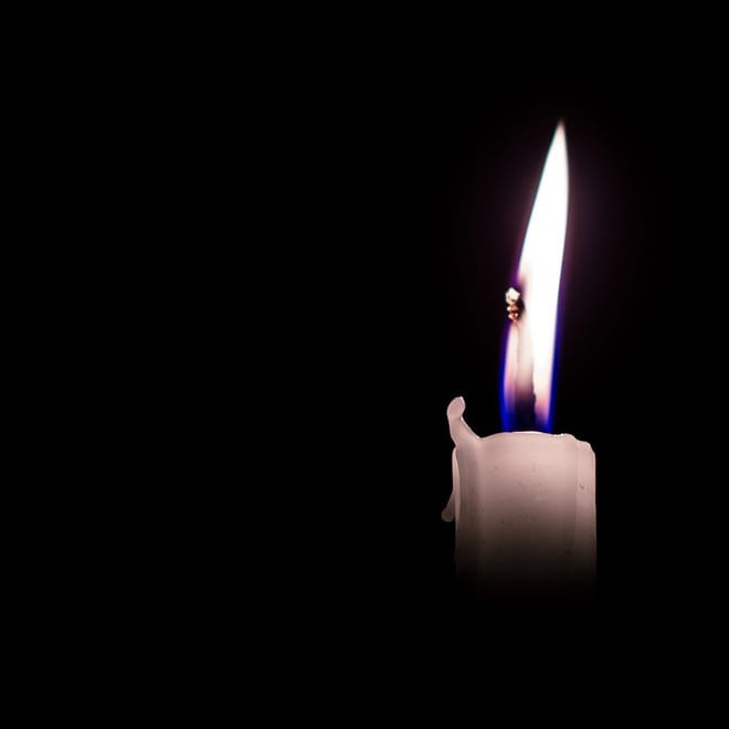 Image de : 2 semaines : toujours vivant!