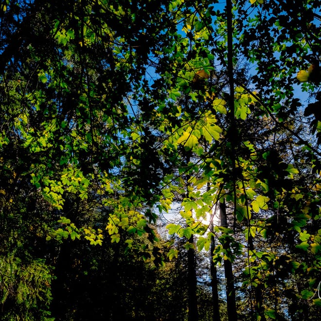 Image de : Vacances !?