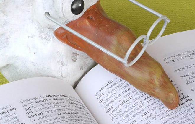 Image de : Que doit-on vraiment enseigner en structuration du français ?