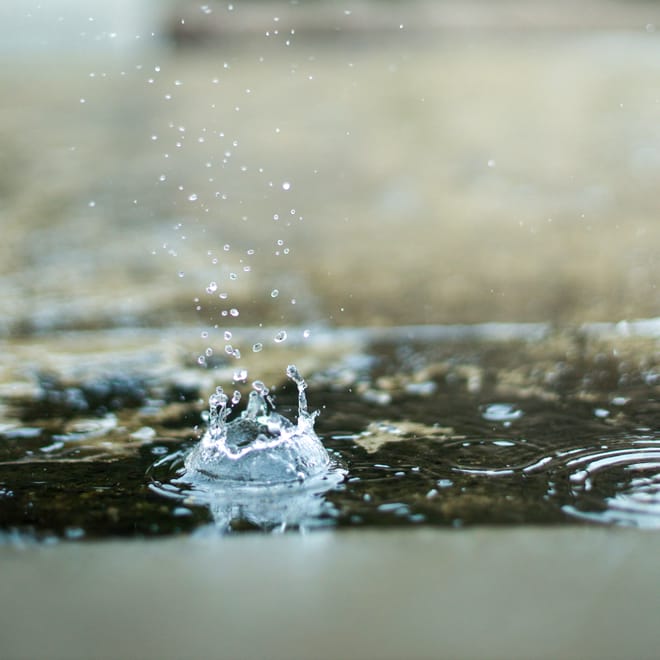 Image de : Choisir ses batailles